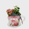 Composition of Plants in Pink Shades in a Cup Pot