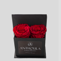 Love Box Black with 2 Red Roses