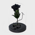 Bella Rose Black 15x25cm.