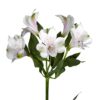 Anthoula Luxury Flowers