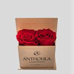 Love Box Sand με 2 Κόκκινα Τριαντάφυλλα